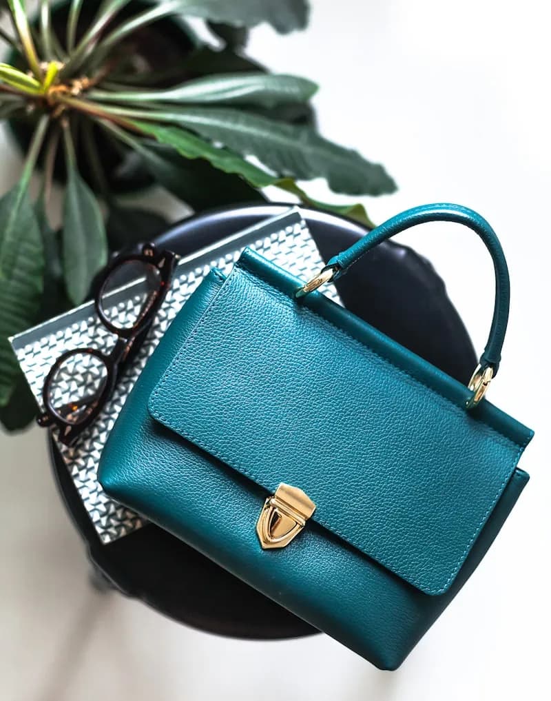 Compact Crossbody Sling